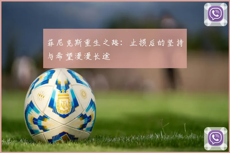 菲尼克斯重生之路：止损后的坚持与希望漫漫长途